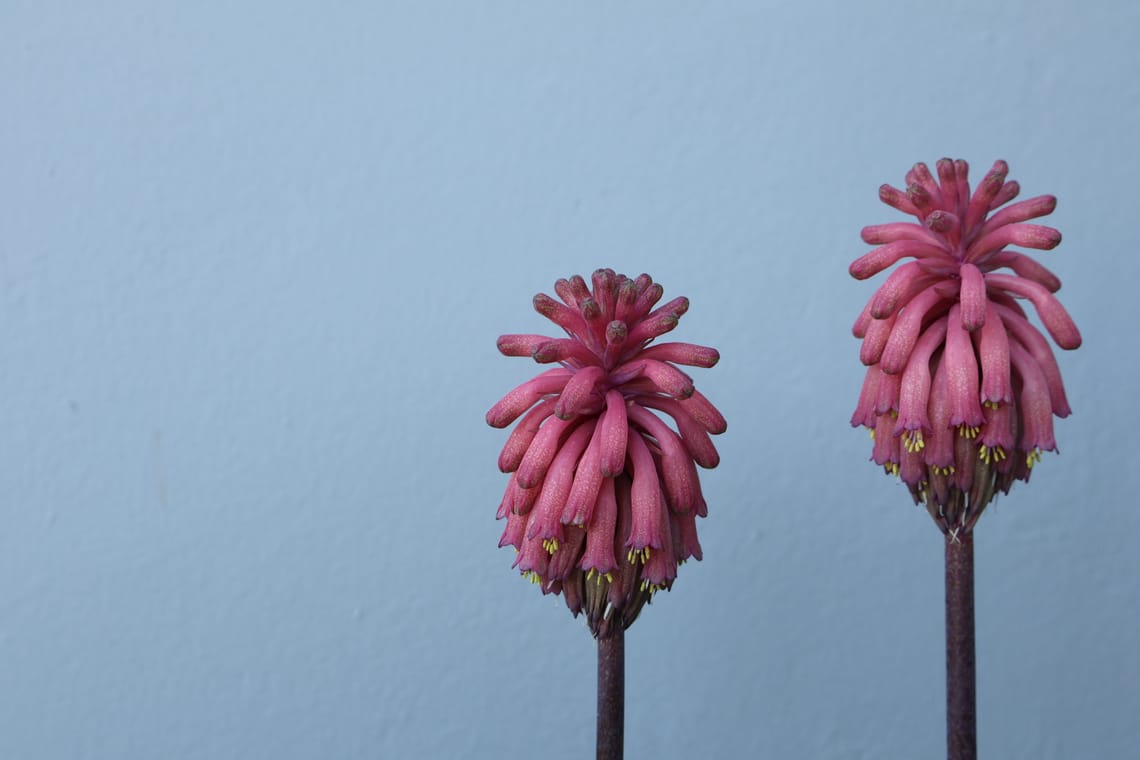 A new direction: Photography